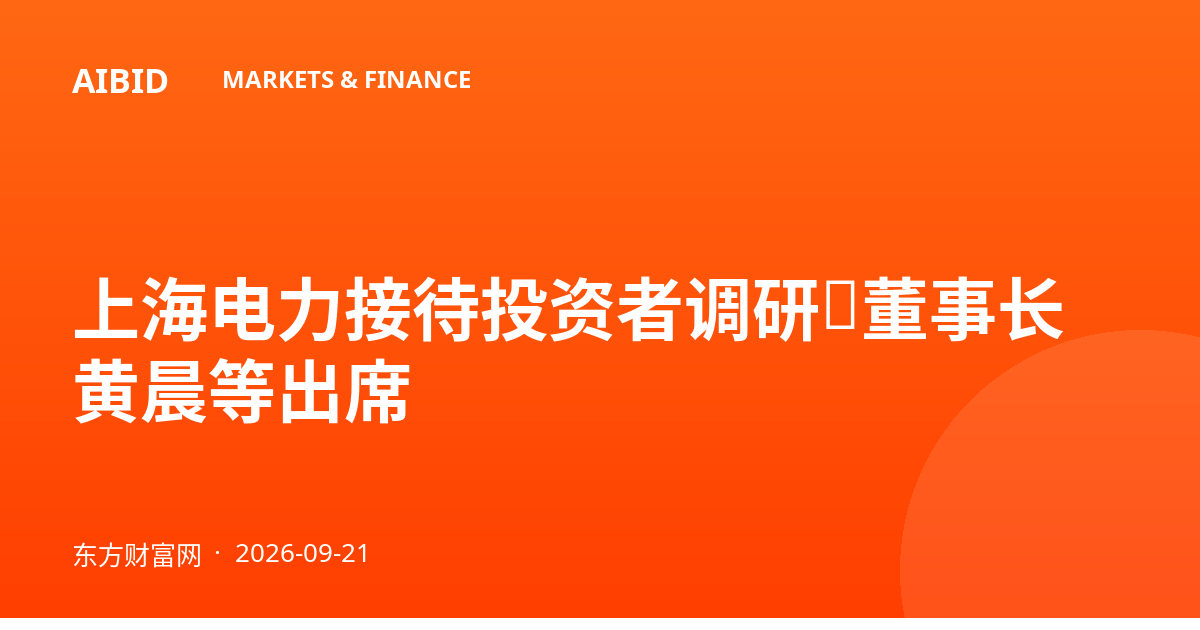 上海电力接待投资者调研，董事长黄晨等出席