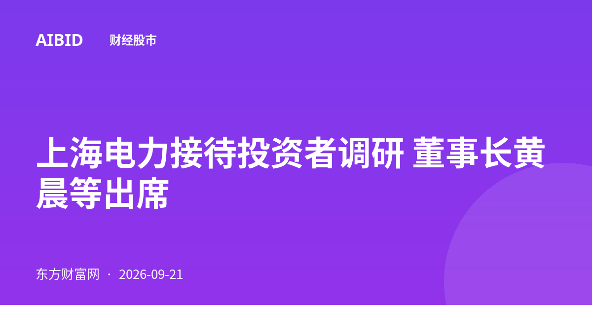 上海电力接待投资者调研 董事长黄晨等出席