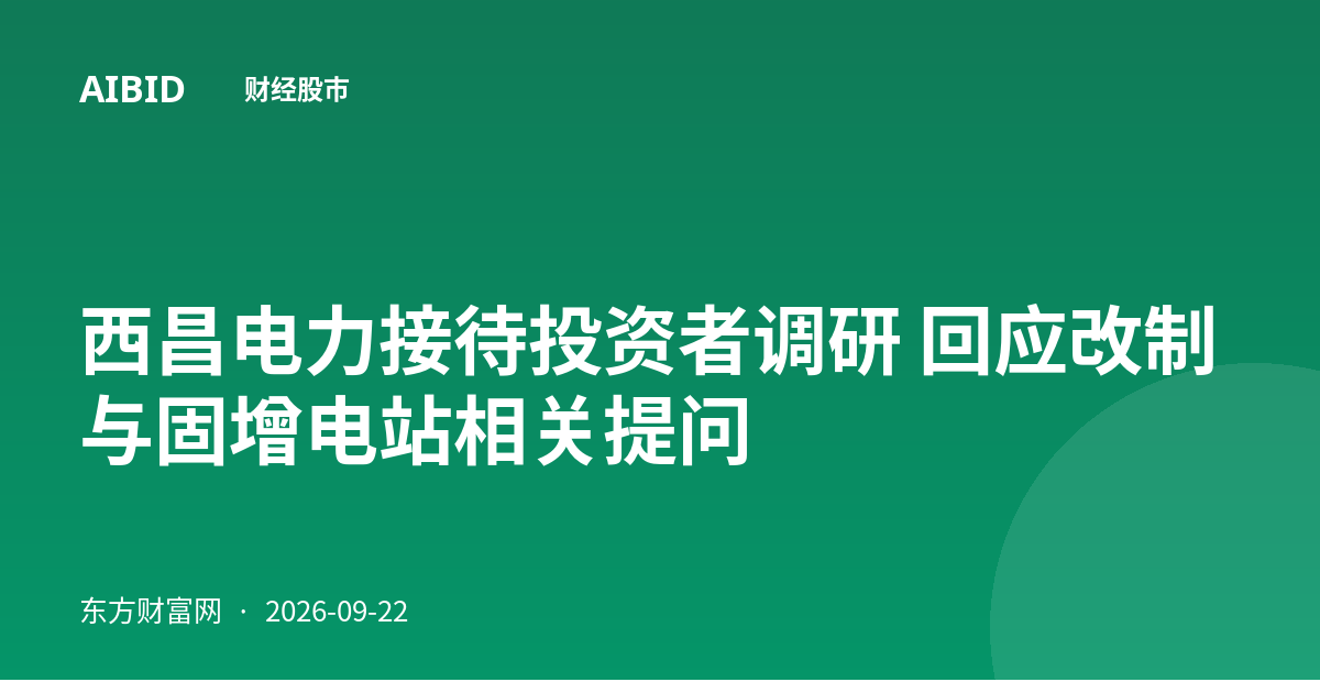 西昌电力接待投资者调研 回应改制与固增电站相关提问