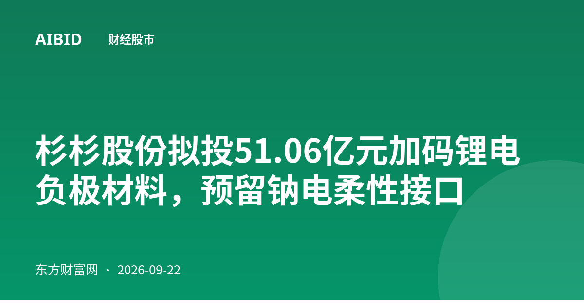 杉杉股份拟投51.06亿元加码锂电负极材料，预留钠电柔性接口