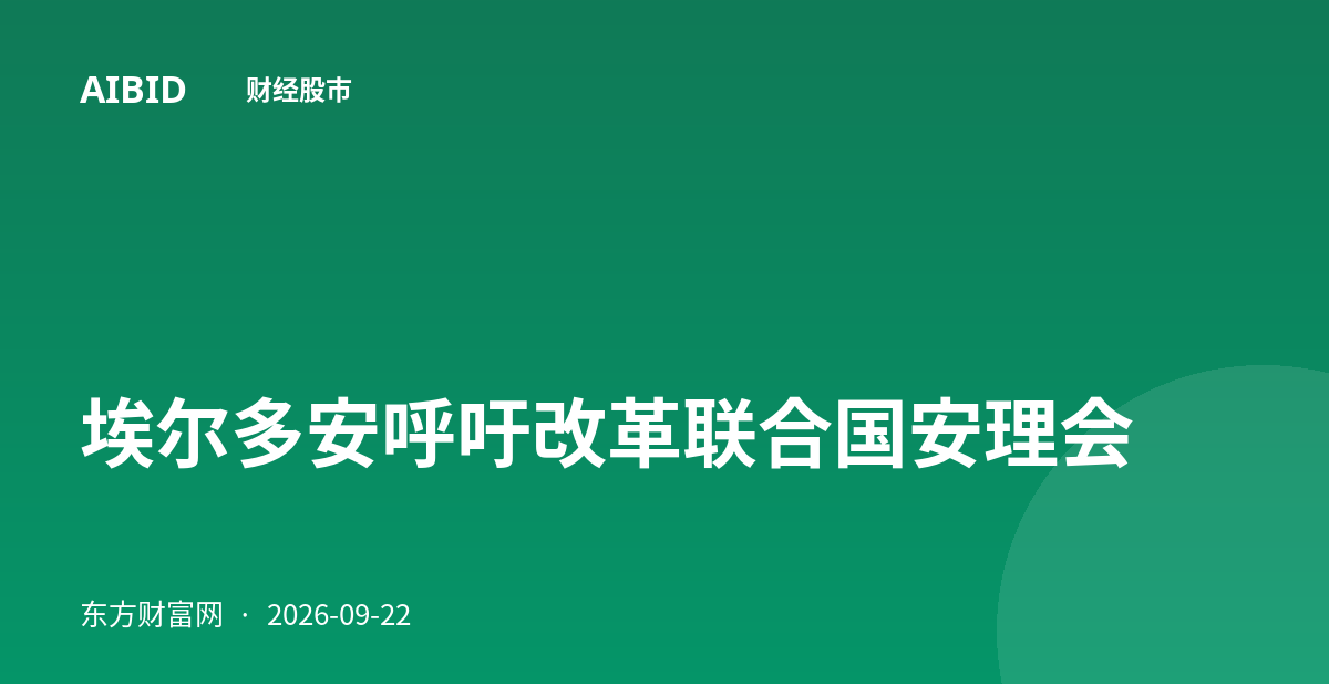 埃尔多安呼吁改革联合国安理会