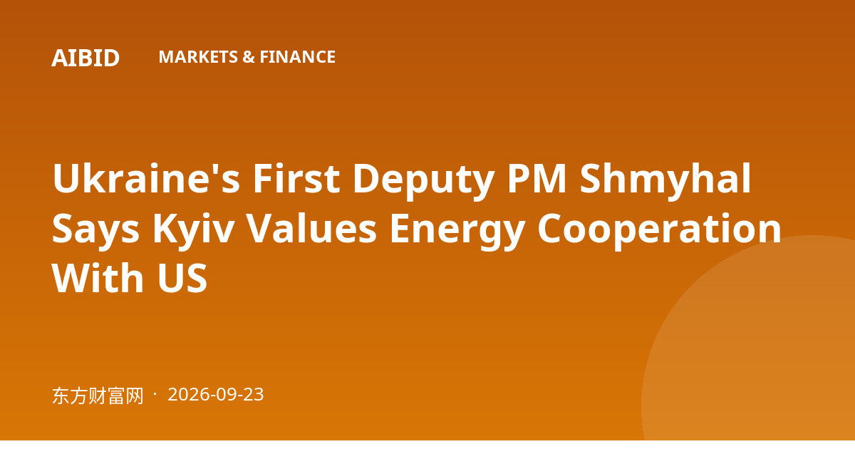 Ukraine's First Deputy PM Shmyhal Says Kyiv Values Energy Cooperation With US