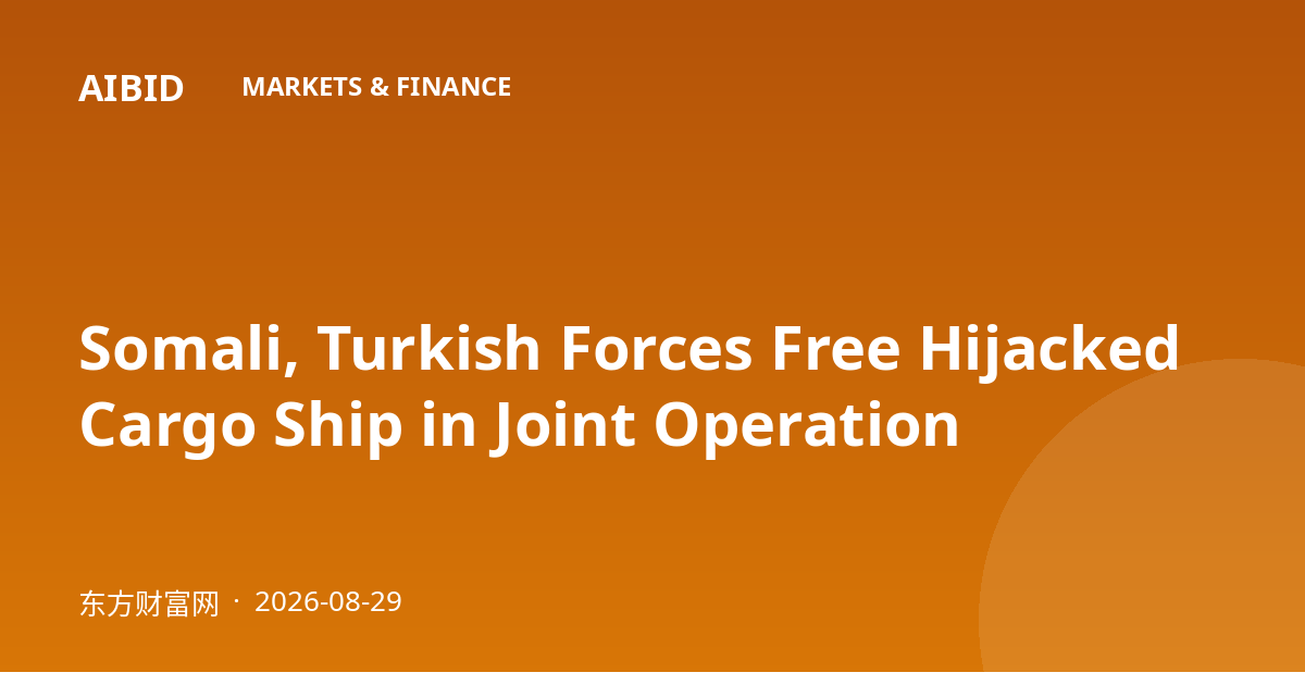 Somali, Turkish Forces Free Hijacked Cargo Ship in Joint Operation