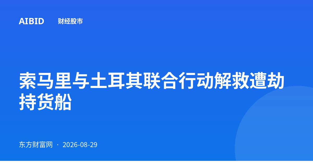 索马里与土耳其联合行动解救遭劫持货船