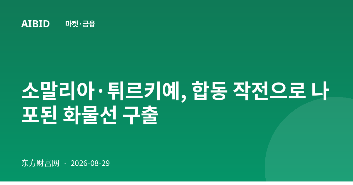 소말리아·튀르키예, 합동 작전으로 나포된 화물선 구출
