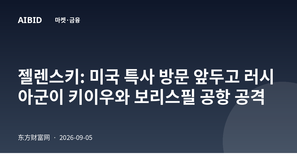 젤렌스키: 미국 특사 방문 앞두고 러시아군이 키이우와 보리스필 공항 공격