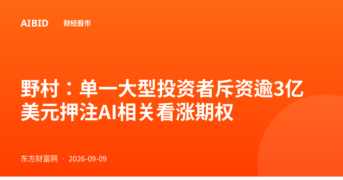野村：单一大型投资者斥资逾3亿美元押注AI相关看涨期权