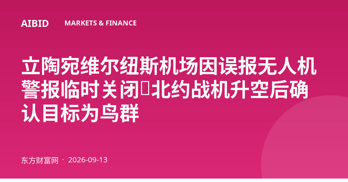 立陶宛维尔纽斯机场因误报无人机警报临时关闭，北约战机升空后确认目标为鸟群