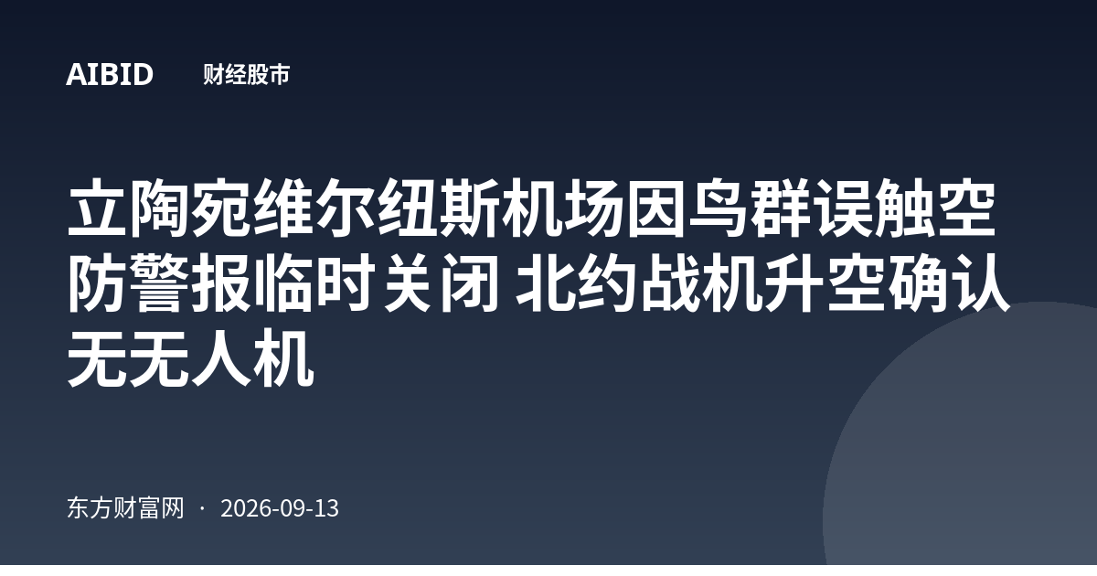 立陶宛维尔纽斯机场因鸟群误触空防警报临时关闭 北约战机升空确认无无人机