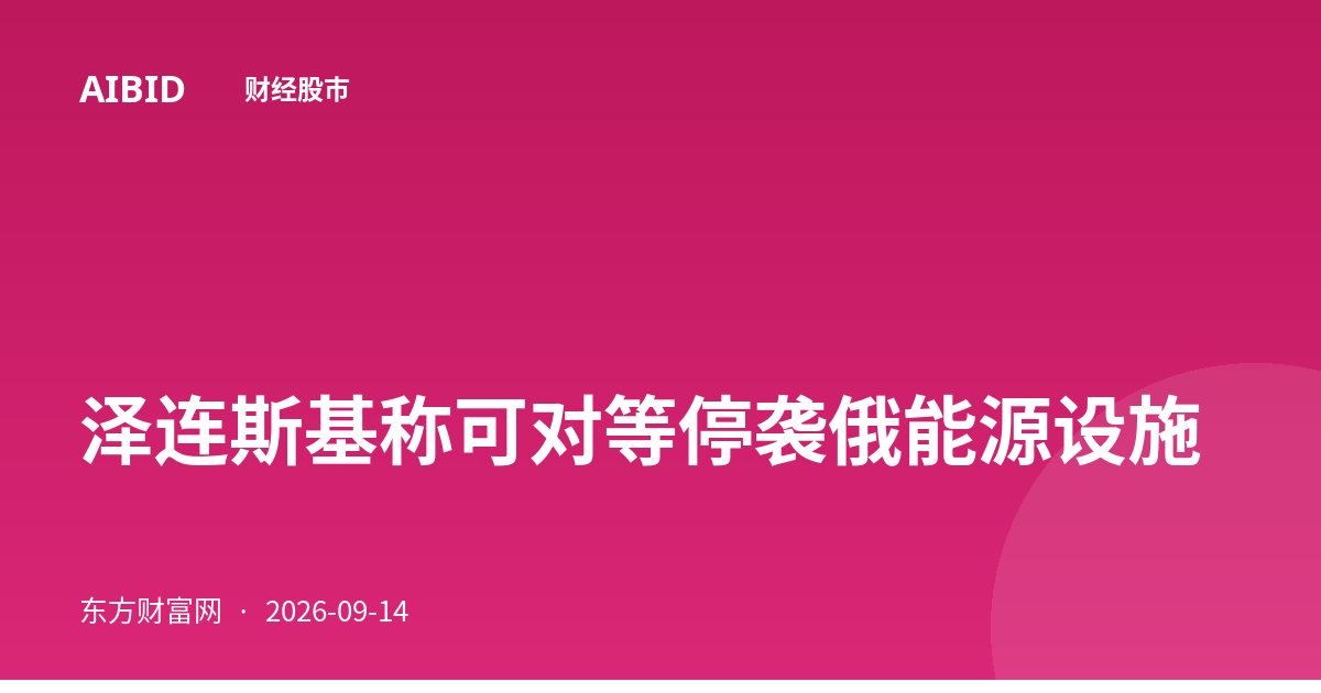 泽连斯基称可对等停袭俄能源设施