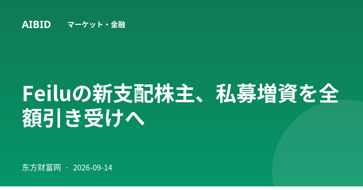 Feiluの新支配株主、私募増資を全額引き受けへ